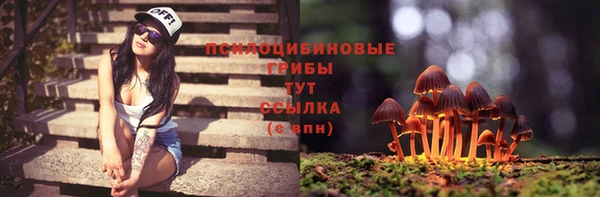 гашик Абдулино